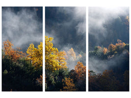 3-piece-canvas-print-moonlight-forest