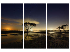 3-piece-canvas-print-moonrise