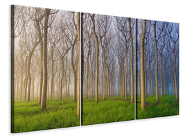 3-piece-canvas-print-morning-of-the-forest