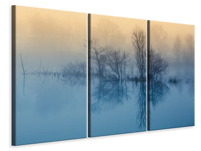 3-piece-canvas-print-morning-reflection-ii