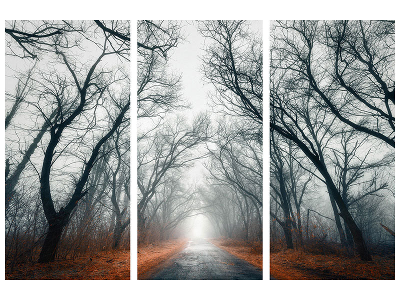3-piece-canvas-print-mysterious-mood-in-the-forest