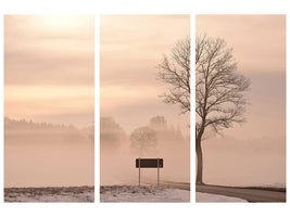 3-piece-canvas-print-mystic-mood-in-nature