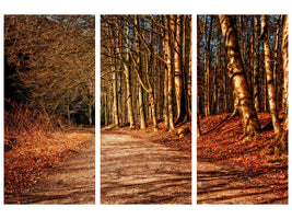 3-piece-canvas-print-nature-in-autumn