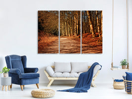 3-piece-canvas-print-nature-in-autumn