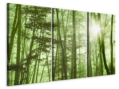 3-piece-canvas-print-nibelungen-forest