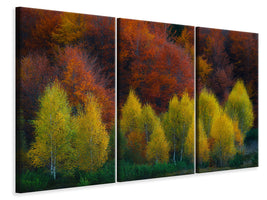 3-piece-canvas-print-nimbrethil