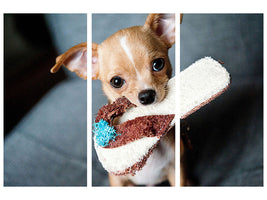 3-piece-canvas-print-obedient-chihuahua