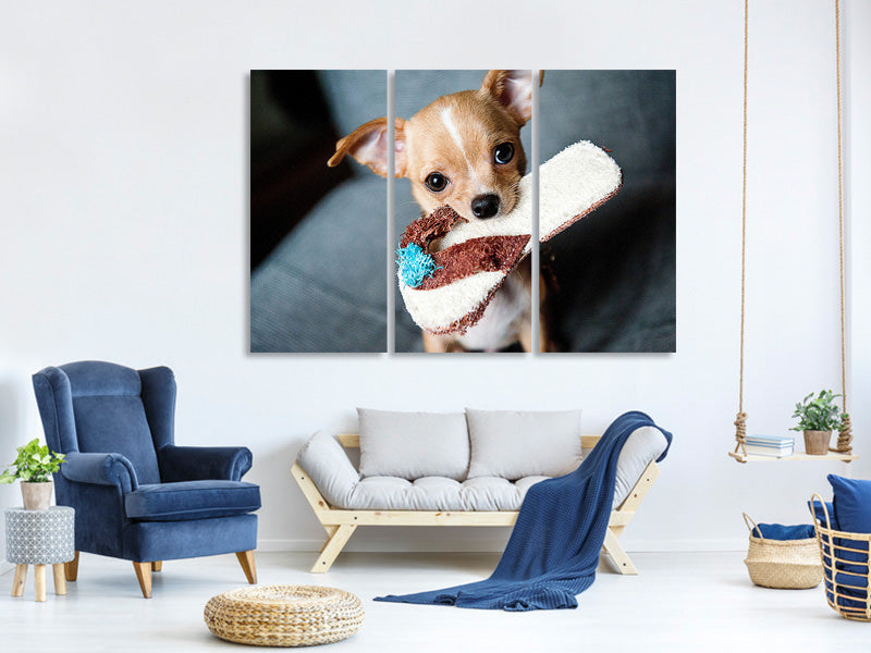 3-piece-canvas-print-obedient-chihuahua
