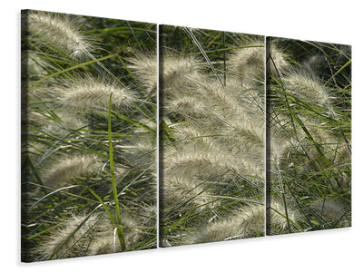 3-piece-canvas-print-ornamental-grass-in-the-wind