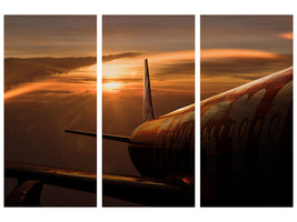 3-piece-canvas-print-out-of-the-flight