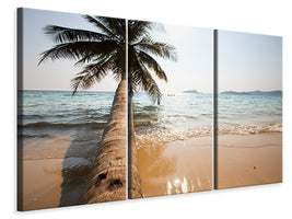 3-piece-canvas-print-palm