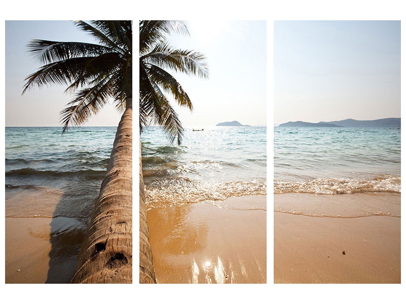 3-piece-canvas-print-palm