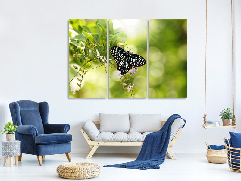 3-piece-canvas-print-papilio-butterfly-xxl