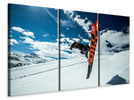 3-piece-canvas-print-park-rat