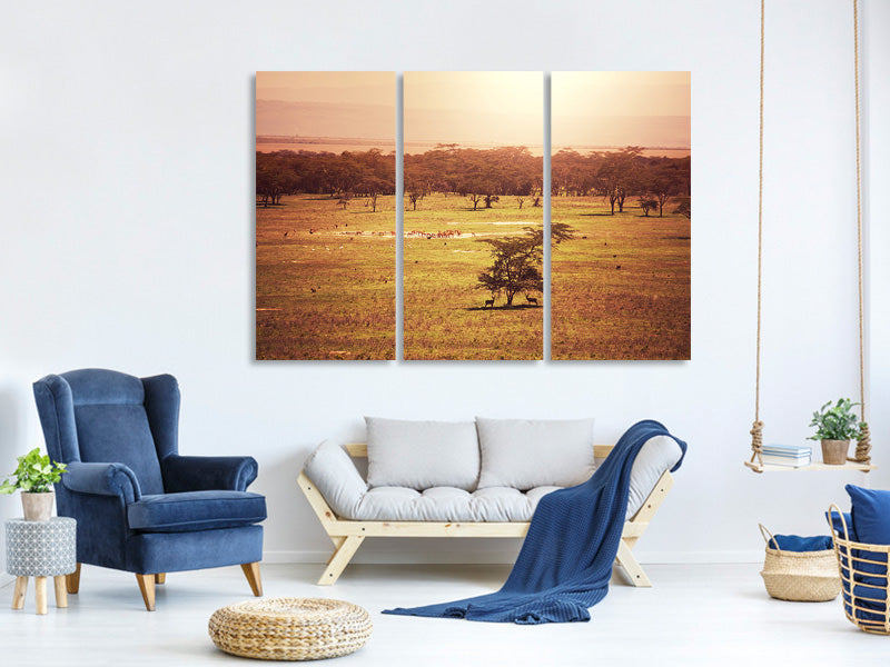 3-piece-canvas-print-picturesque-africa