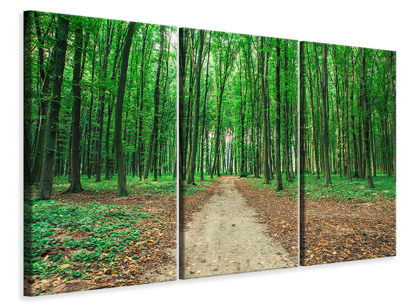 3-piece-canvas-print-pine-forests