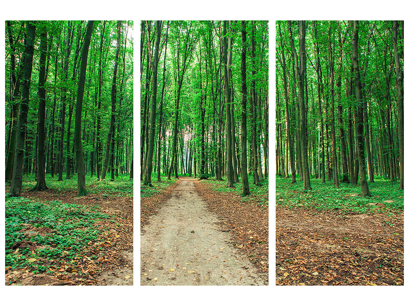 3-piece-canvas-print-pine-forests