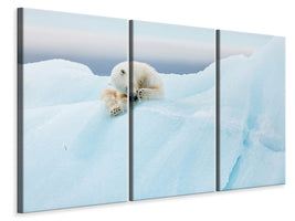 3-piece-canvas-print-polar-bear-grooming