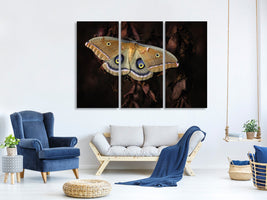 3-piece-canvas-print-polyphemus