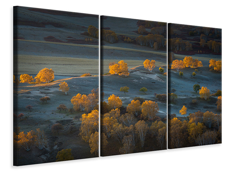 3-piece-canvas-print-prairie-light