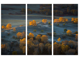 3-piece-canvas-print-prairie-light