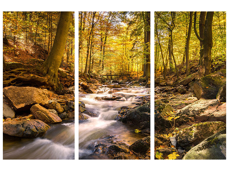 3-piece-canvas-print-real-nature-beauty