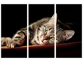 3-piece-canvas-print-relaxed-cat