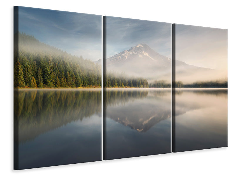 3-piece-canvas-print-renewed