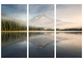 3-piece-canvas-print-renewed