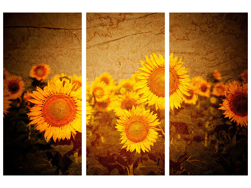 3-piece-canvas-print-retro-sunflower