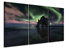 3-piece-canvas-print-rhino-iii