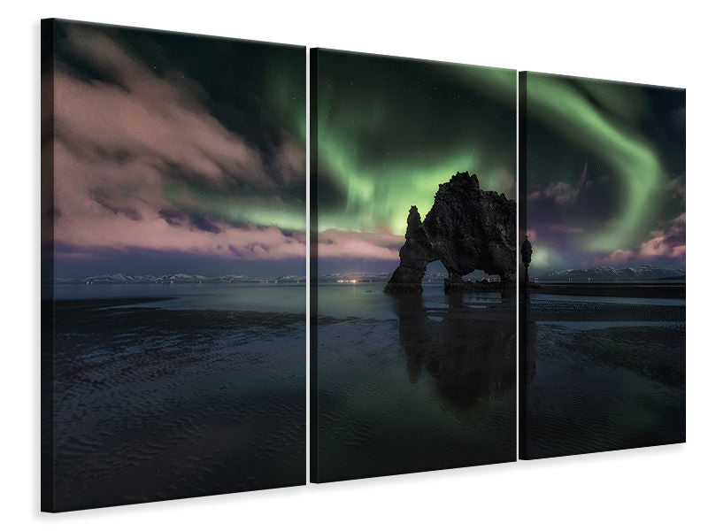 3-piece-canvas-print-rhino-iii