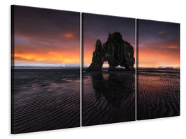 3-piece-canvas-print-rhino