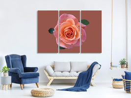 3-piece-canvas-print-rose-in-apricot-xxl