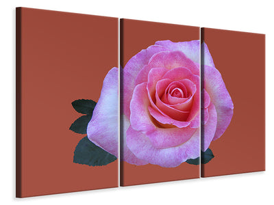 3-piece-canvas-print-rose-in-pink-xxl