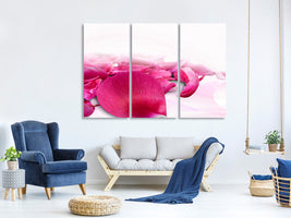 3-piece-canvas-print-rose-petals-in-pink-iii