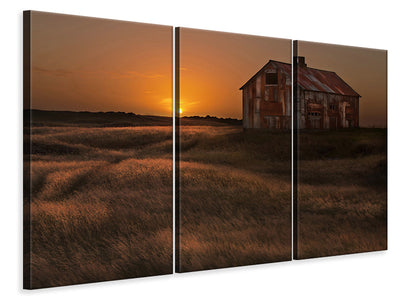 3-piece-canvas-print-september-sun