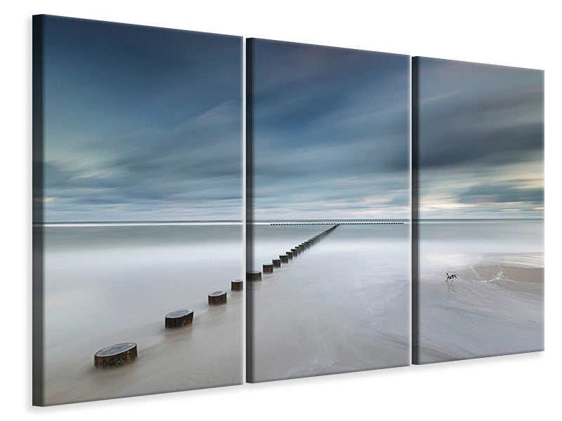 3-piece-canvas-print-seven