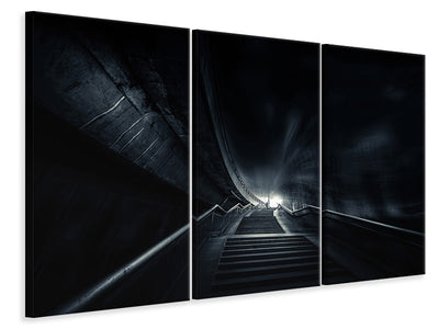 3-piece-canvas-print-single-i-p