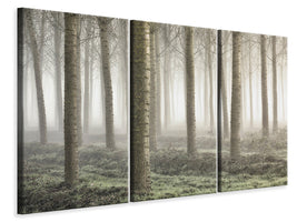 3-piece-canvas-print-small-woodland