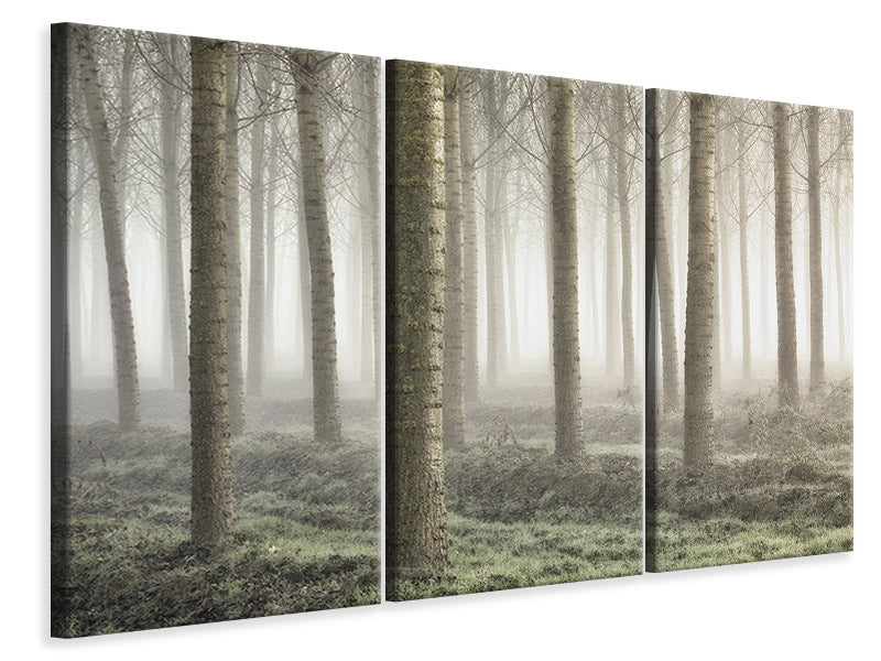 3-piece-canvas-print-small-woodland