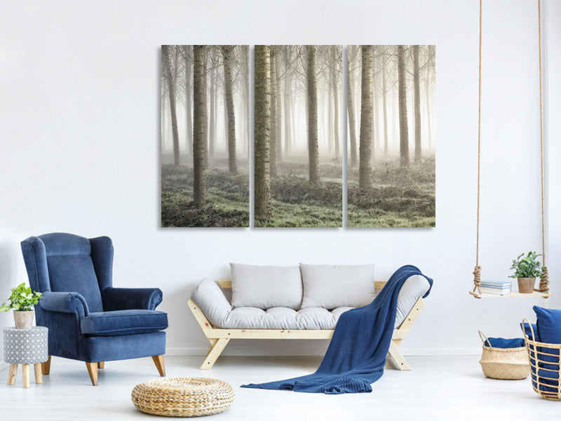 3-piece-canvas-print-small-woodland