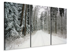 3-piece-canvas-print-snow-in-the-forest