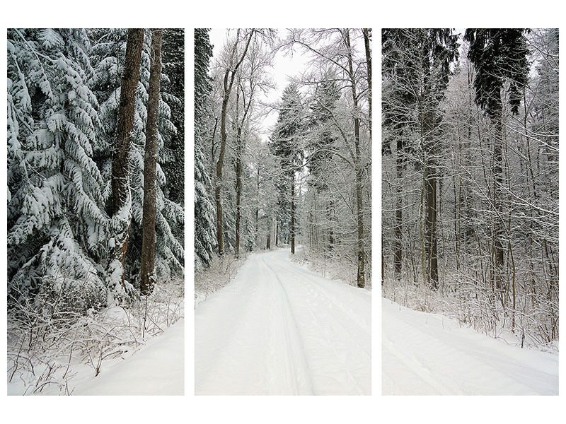 3-piece-canvas-print-snow-in-the-forest