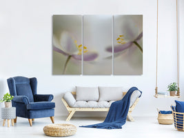 3-piece-canvas-print-soft-whispering