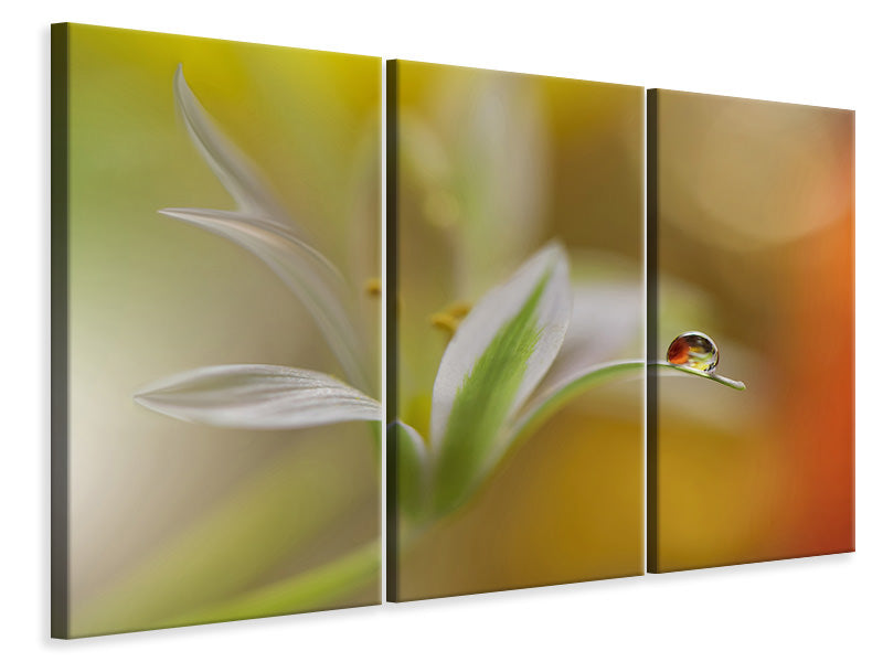 3-piece-canvas-print-sound-of-colors