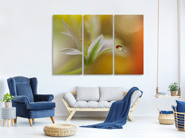 3-piece-canvas-print-sound-of-colors