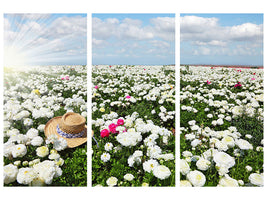 3-piece-canvas-print-spring-flower-meadow