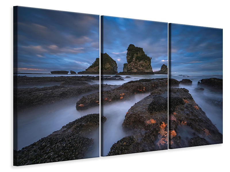 3-piece-canvas-print-starfish