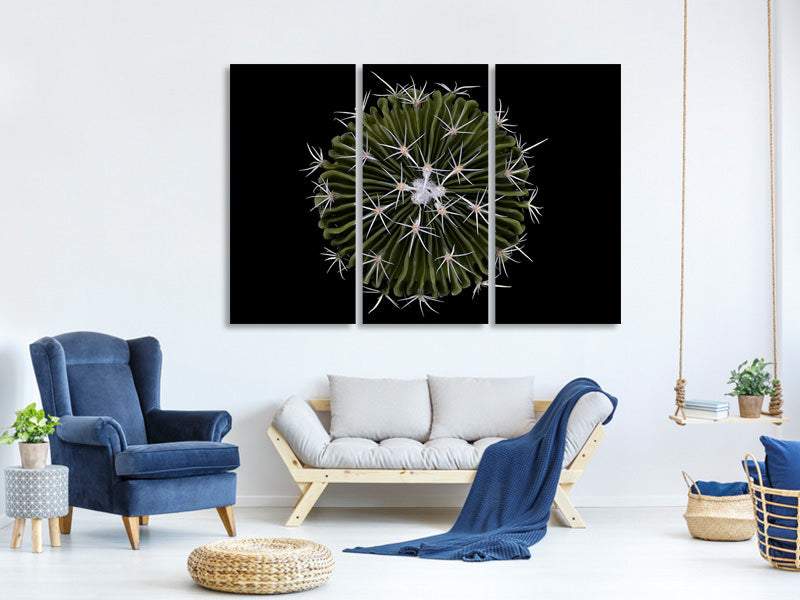 3-piece-canvas-print-stenocactus